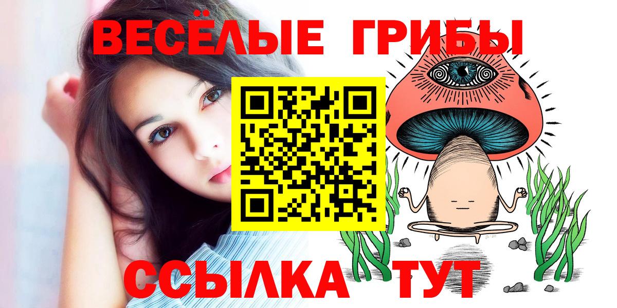Галлюциногенные грибы Psilocybe Славянск-на-Кубани