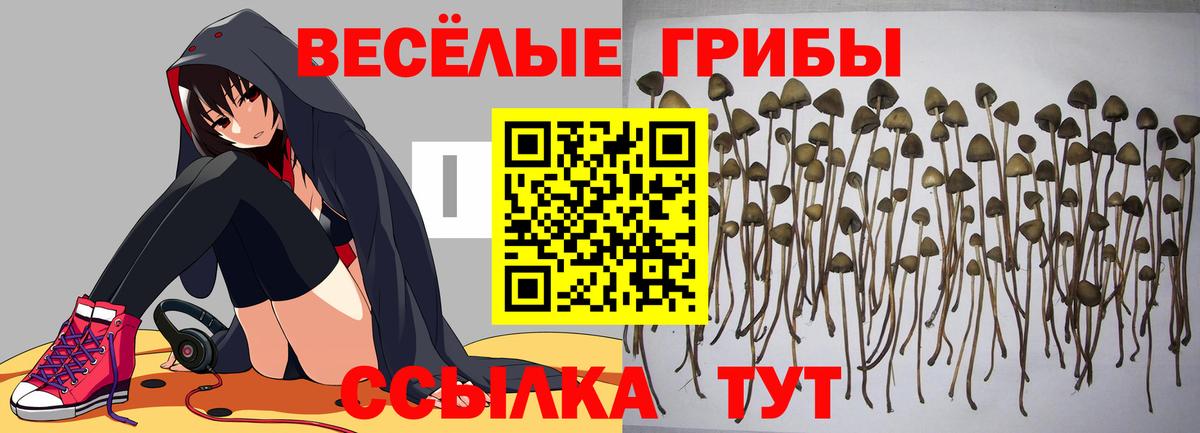 Славянск-на-Кубани  Галлюциногенные грибы MAGIC MUSHROOMS  Вход с VPN 